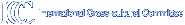 �C�O���w�Ȃ�ICC���ی𗬈ψ���