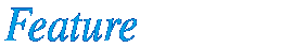 ICC�̓���